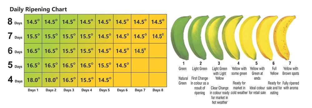 nandikoti_Banana Ripening Chamber